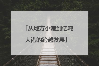 从地方小港到亿吨大港的跨越发展