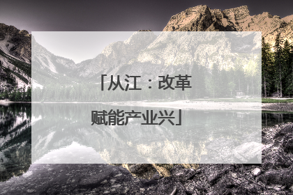 从江：改革赋能产业兴