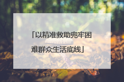 以精准救助兜牢困难群众生活底线