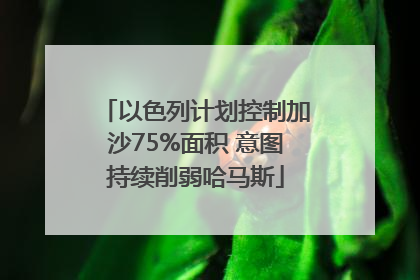 以色列计划控制加沙75%面积 意图持续削弱哈马斯