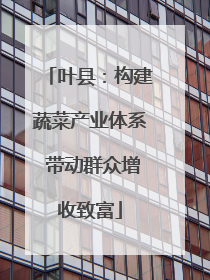 叶县：构建蔬菜产业体系 带动群众增收致富