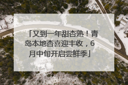 又到一年甜杏熟！青岛本地杏喜迎丰收，6月中旬开启尝鲜季