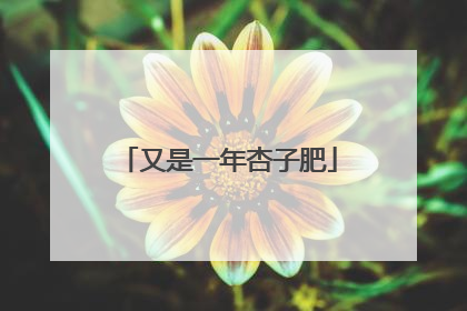 又是一年杏子肥