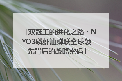 双冠王的进化之路：NYO3磷虾油蝉联全球领先背后的战略密码