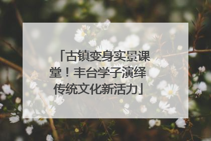 古镇变身实景课堂！丰台学子演绎传统文化新活力