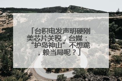 台积电发声明硬刚美芯片关税，台媒：“护岛神山”不想跪，赖当局呢？