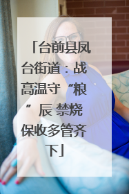 台前县凤台街道：战高温守“粮”辰 禁烧保收多管齐下