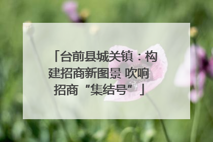 台前县城关镇：构建招商新图景 吹响招商“集结号”