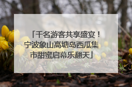 千名游客共享盛宴！宁波象山高塘岛西瓜集市甜蜜启幕乐翻天
