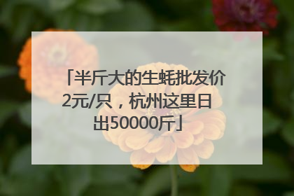 半斤大的生蚝批发价2元/只，杭州这里日出50000斤
