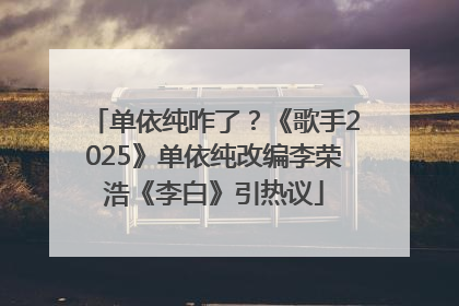 单依纯咋了？《歌手2025》单依纯改编李荣浩《李白》引热议
