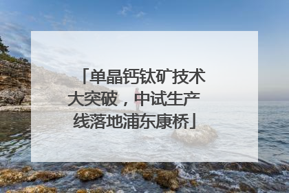 单晶钙钛矿技术大突破，中试生产线落地浦东康桥