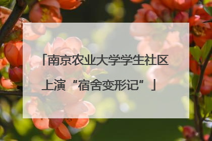 南京农业大学学生社区上演“宿舍变形记”