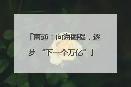南通：向海图强，逐梦 “下一个万亿”