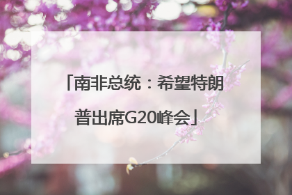 南非总统：希望特朗普出席G20峰会