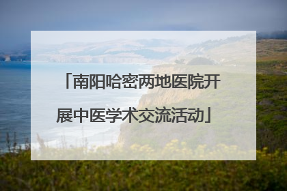 南阳哈密两地医院开展中医学术交流活动