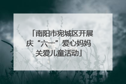 南阳市宛城区开展庆“六一”爱心妈妈关爱儿童活动