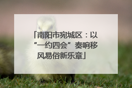 南阳市宛城区：以“一约四会”奏响移风易俗新乐章