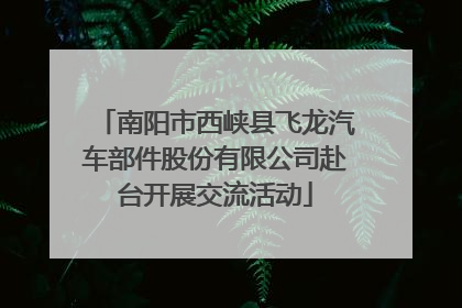 南阳市西峡县飞龙汽车部件股份有限公司赴台开展交流活动