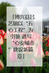 博兴县吕艺镇以“五心工程”为引领 谱写“心安城市”建设新篇章