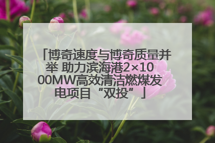 博奇速度与博奇质量并举 助力滨海港2×1000MW高效清洁燃煤发电项目“双投”