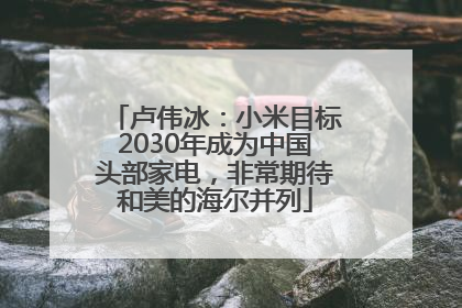 卢伟冰：小米目标2030年成为中国头部家电，非常期待和美的海尔并列