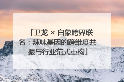 卫龙 × 白象跨界联名：辣味基因的跨维度共振与行业范式重构