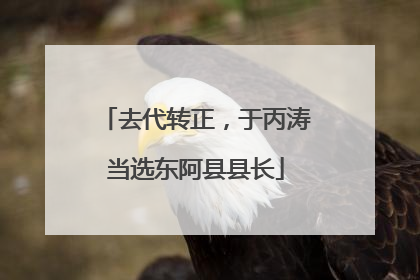 去代转正，于丙涛当选东阿县县长