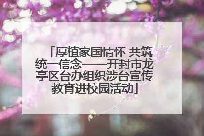 厚植家国情怀 共筑统一信念——开封市龙亭区台办组织涉台宣传教育进校园活动