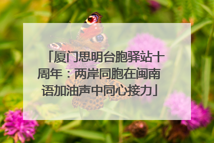 厦门思明台胞驿站十周年：两岸同胞在闽南语加油声中同心接力