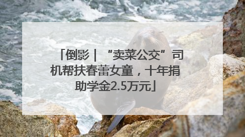 倒影｜“卖菜公交”司机帮扶春蕾女童，十年捐助学金2.5万元