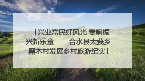 兴业富民好风光 奏响振兴新乐章——合水县太莪乡黑木村发展乡村旅游纪实