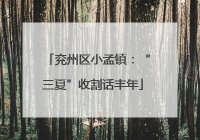 兖州区小孟镇：“三夏”收割话丰年