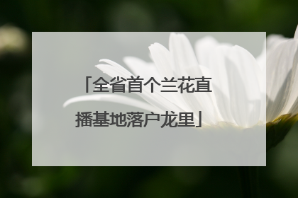全省首个兰花直播基地落户龙里
