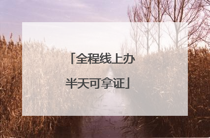 全程线上办 半天可拿证