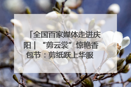 全国百家媒体走进庆阳｜“剪云裳”惊艳香包节：剪纸跃上华服 非遗焕发新彩