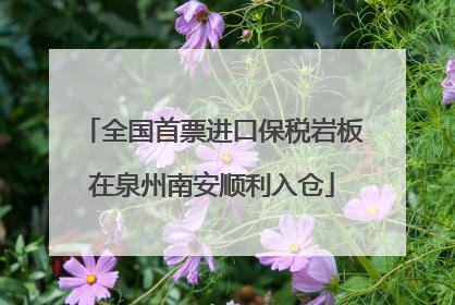 全国首票进口保税岩板在泉州南安顺利入仓
