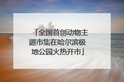 全国首创动物主题市集在哈尔滨极地公园火热开市