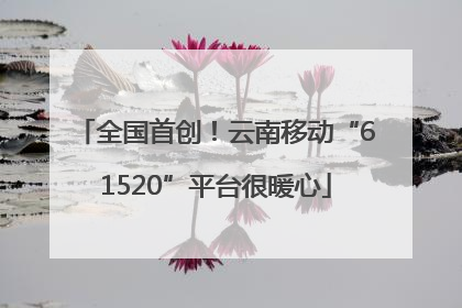 全国首创！云南移动“61520”平台很暖心