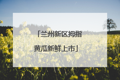 兰州新区拇指黄瓜新鲜上市