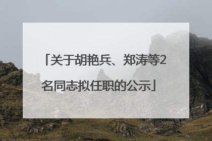 关于胡艳兵、郑涛等2名同志拟任职的公示