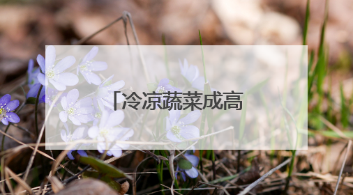 冷凉蔬菜成高原乡村热产业