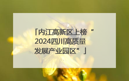 内江高新区上榜“2024四川高质量发展产业园区”