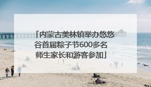 内蒙古美林镇举办悠悠谷首届粽子节600多名师生家长和游客参加