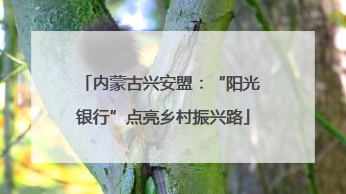内蒙古兴安盟：“阳光银行”点亮乡村振兴路