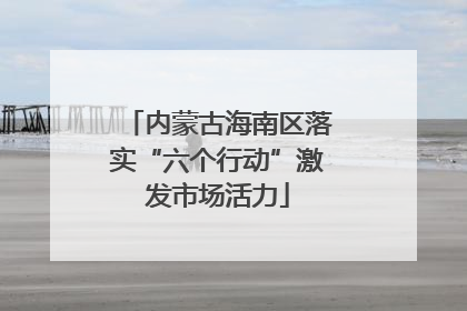内蒙古海南区落实“六个行动”激发市场活力
