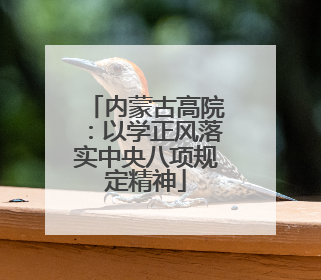 内蒙古高院：以学正风落实中央八项规定精神