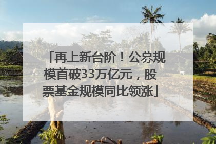 再上新台阶！公募规模首破33万亿元，股票基金规模同比领涨