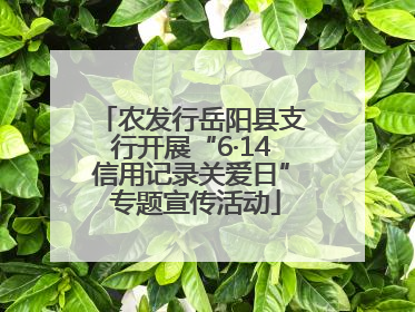 农发行岳阳县支行开展“6·14信用记录关爱日” 专题宣传活动