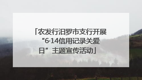 农发行汨罗市支行开展“6·14信用记录关爱日”主题宣传活动